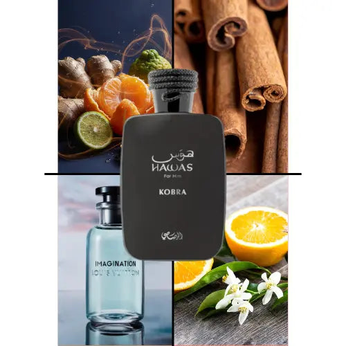 Rasasi Hawas Kobra (100ml) - FragranceGems Rasasi