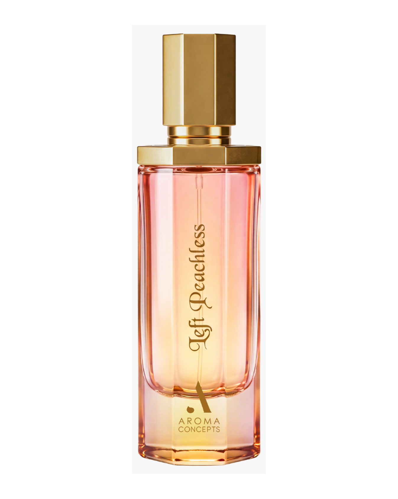 Aroma Concepts Left Peachless (100ml)